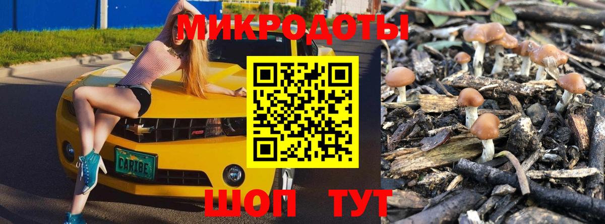 Псилоцибиновые грибы MAGIC MUSHROOMS Гурьевск